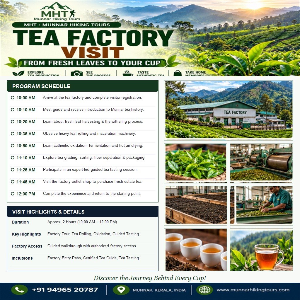 Tea Factory Visit - Full Official Tour Plan Flyer