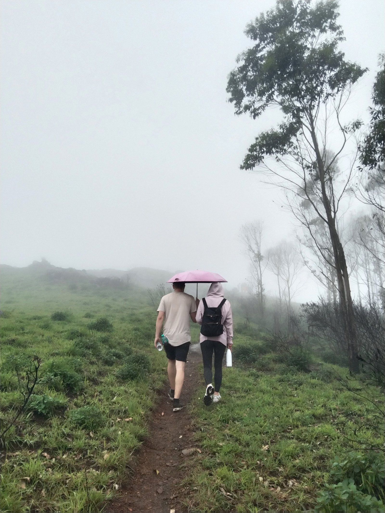 Wild Trails & High Peaks • Itinerary