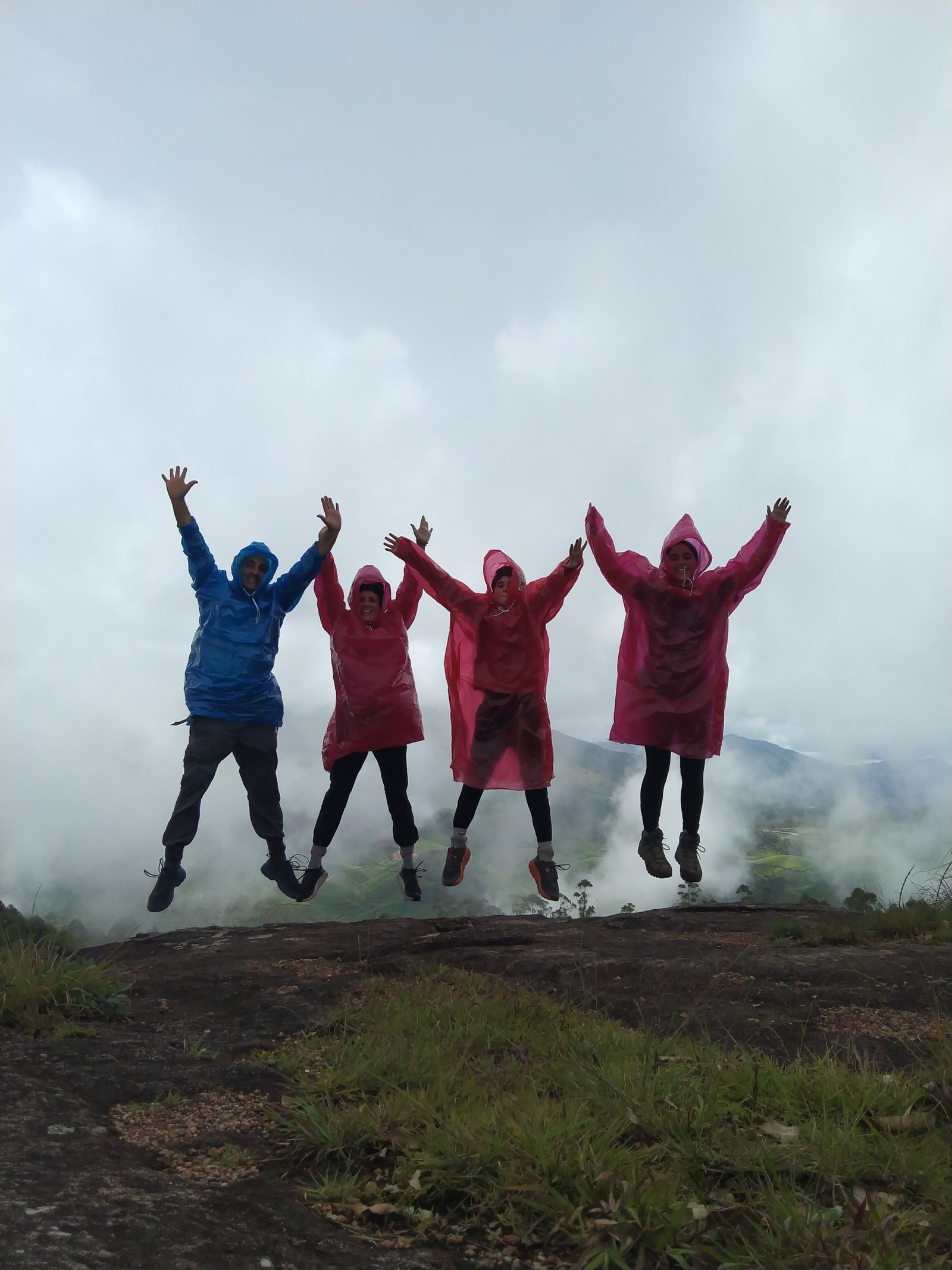Tea Estate Exploration • Colonial Routes