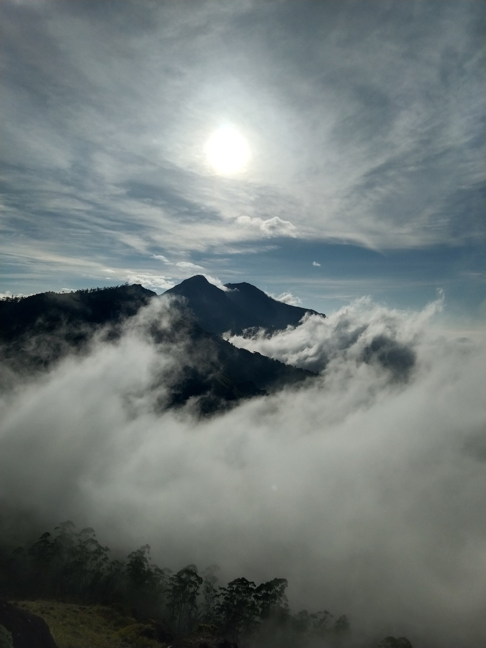 Rhodo Valley & Meesapulimala Summit