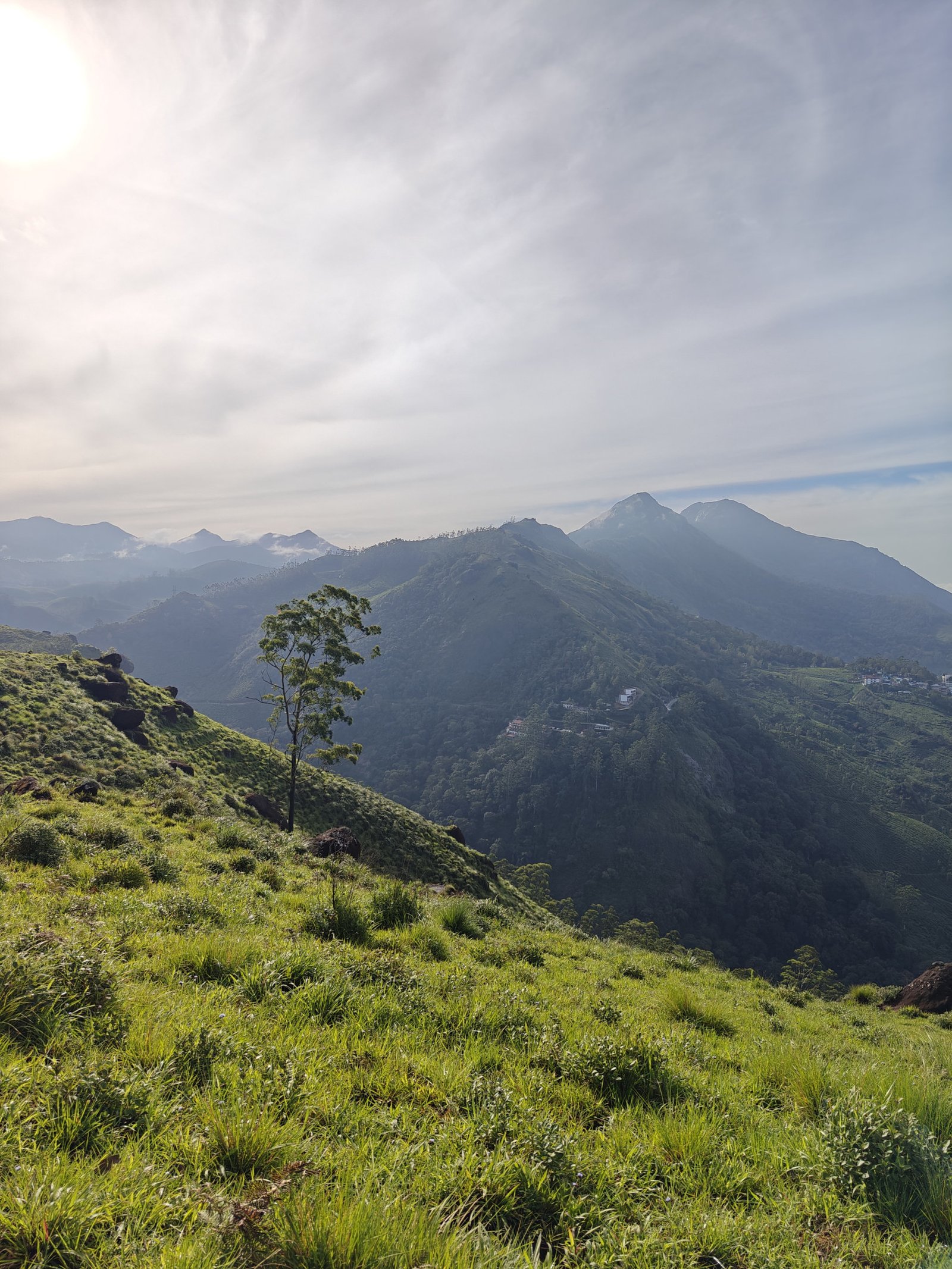 Flora, Rare Orchids & Neelakurinji